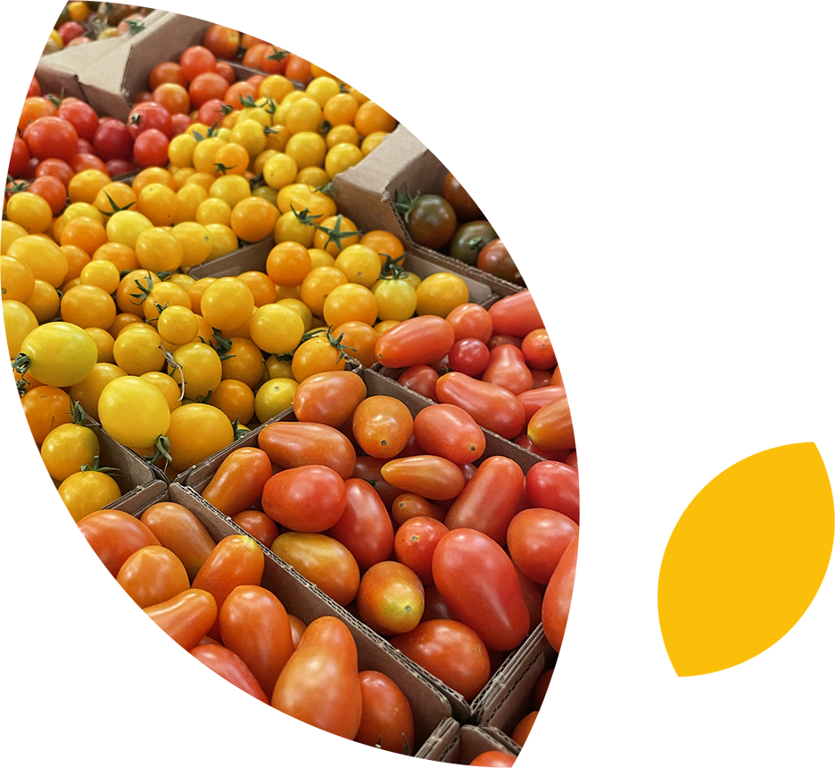 OPS_Produce