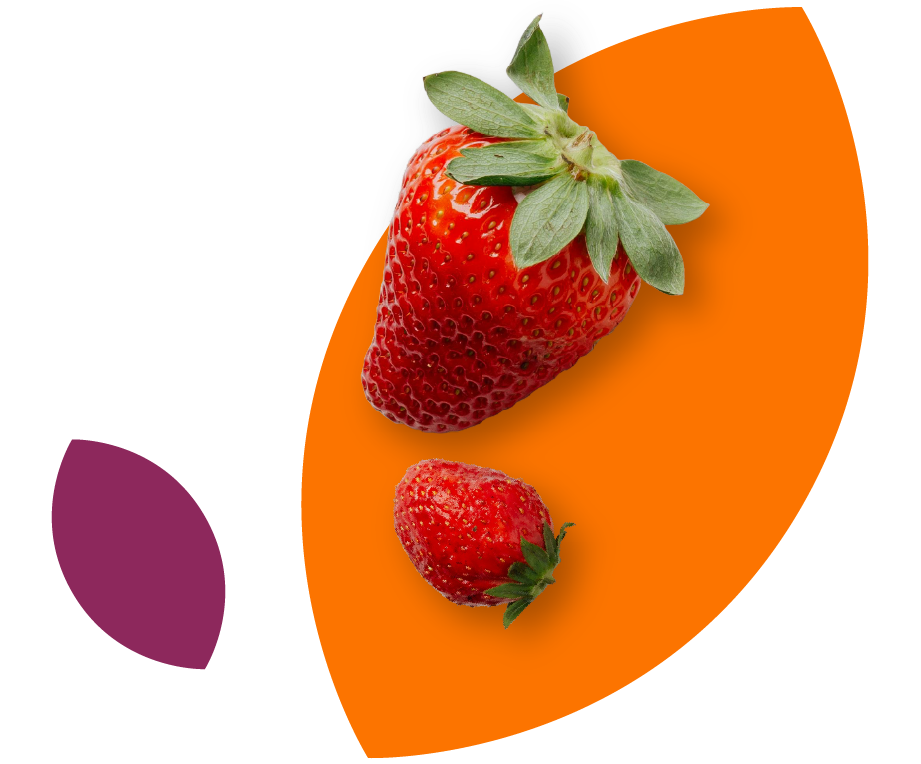 OPS_ProduceonLeaves_Strawberries@2x